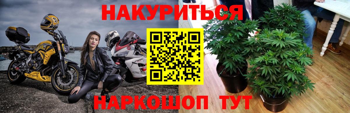 МАРИХУАНА ГИДРОПОН Рубцовск